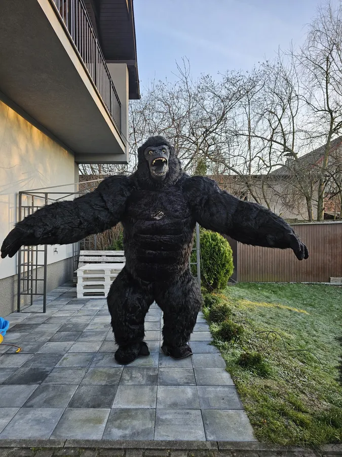 Pneumatyczny Mega (2,6 m) Goryl