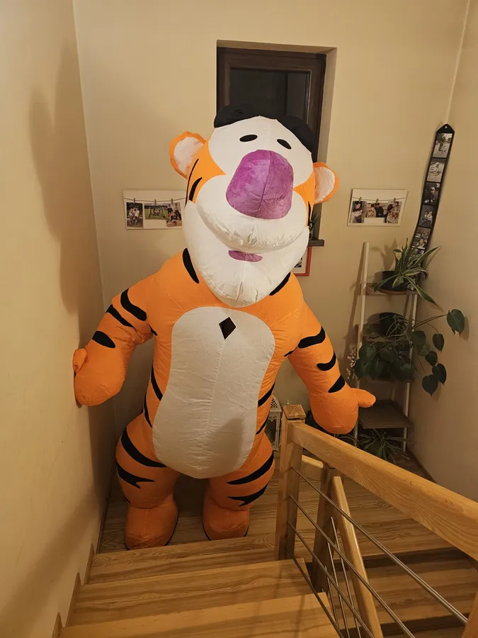 Pneumatyczny Maga Tygrysek (2,6 m)
